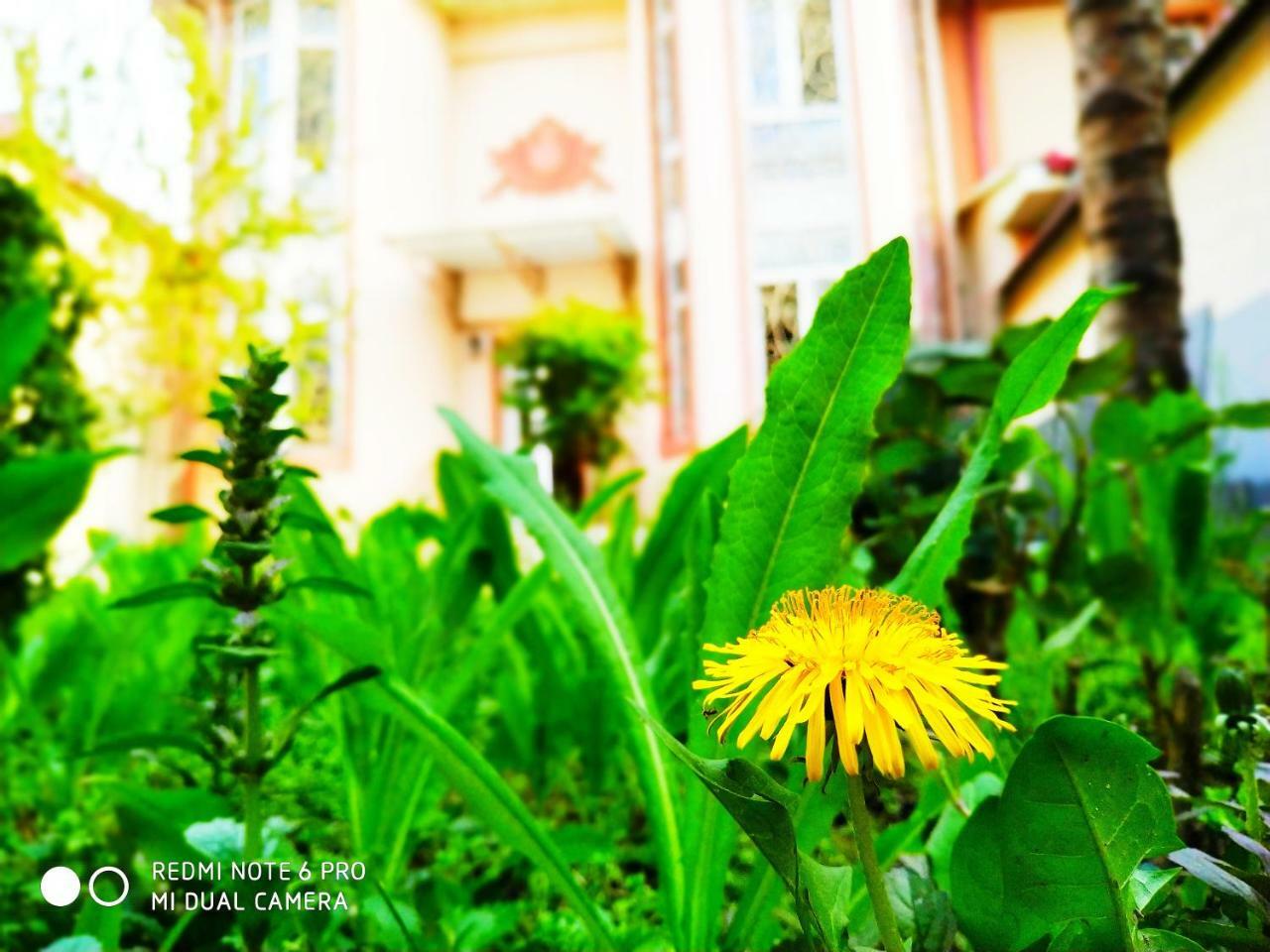 Rakat Inn Navigator Tashkent Exterior foto