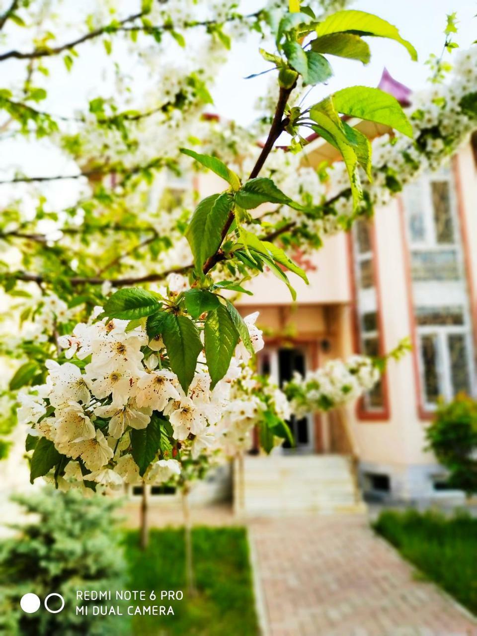 Rakat Inn Navigator Tashkent Exterior foto